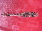 Noble, old sugar tongs 835 silver!