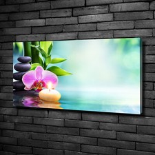 Leinwandbild Kunst-Druck 100x50 Bilder Blumen & Pflanzen Orchidee Bambus