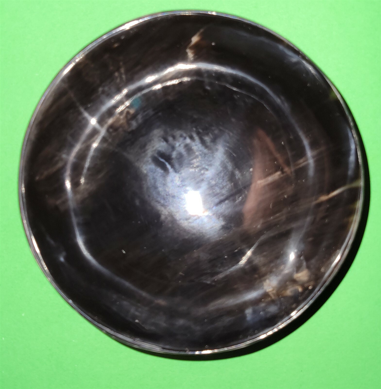 Polished buffalo horn bowl measuring 5