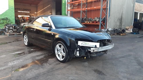 8H0867035 Bordatura Porta Posteriore Sinistra per AUDI A4 CABRIOLET (8H) 6657939 - Foto 6 di 10