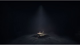 REANIMAL for Xbox Series X [New Video Game] Xbox Series X