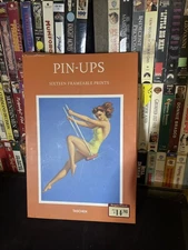 PIN UPS 16 FRAMABLE PRINTS