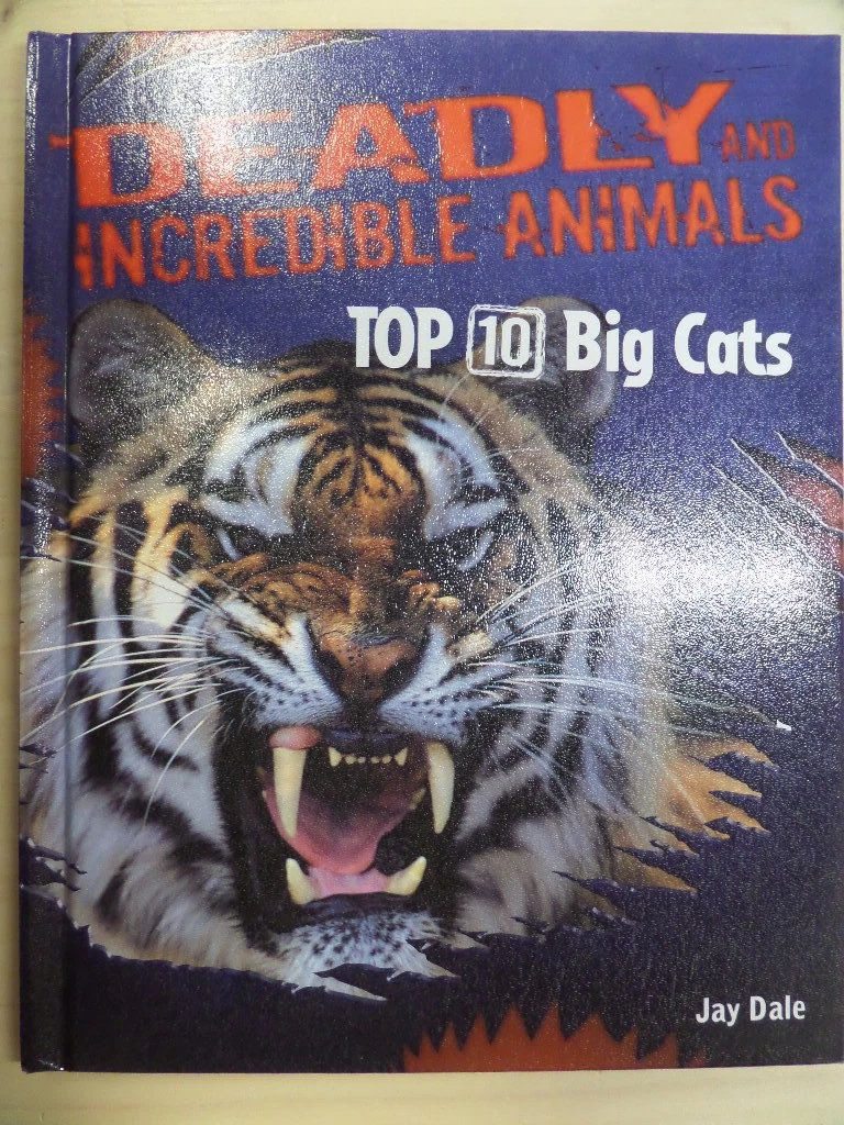 Top sales big cats