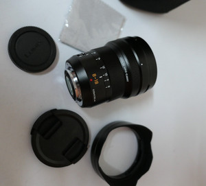 Panasonic LUMIX Leica DG Vario Elmarit 8-18mm F2.8-F4.0 Asph Lens + Case