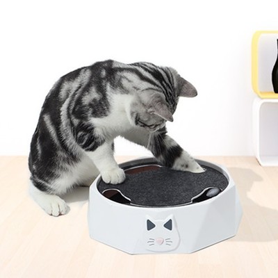 Interactive Cat Turntable Electric 2 Speed Adjustable Auto Puzzle Catch Mous SET