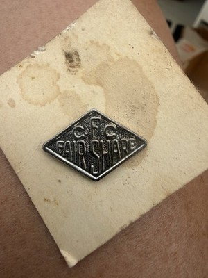 CFO FAIR SHARE PIN