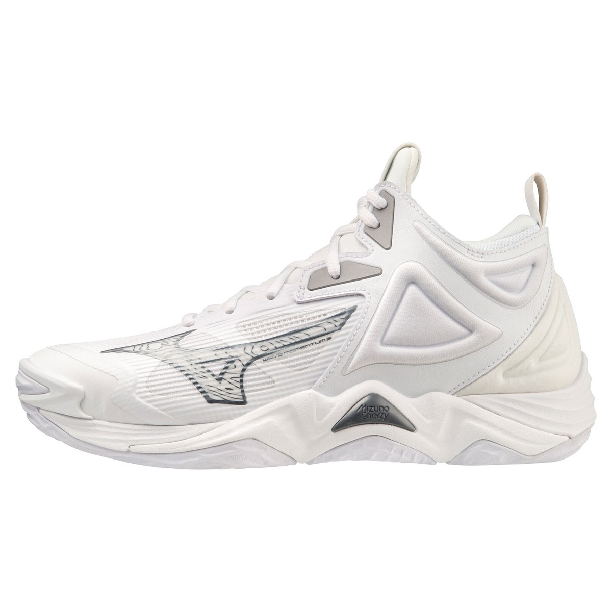 ✨️MIZUNO DFORTH 美品 ✨️ Mizuno WAVE RIDER 'Metallic Pack 2' | D1GA243103 | AFEW STORE
