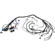 Ls Gen Iv Stand Alone Dbw Wiring Harness 11-pin