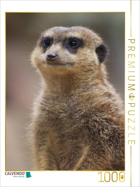 Calvendo Puzzle Meerkats | 1000 Pieces, Finished Size 25.2 × 18.9 In (64 × 48 Cm-image
