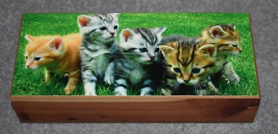 #4955 KITTENS KEEPSAKE JEWELRY WOOD CEDAR BOX 5'' X 12''