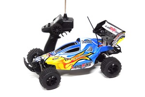 coche radiocontrol bateria