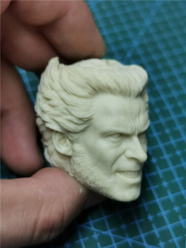 1/18 Male Logan Wolverine Head Sculpt Carving Fit 3.75'' Action Figure Body Toy - Picture 2 of 6