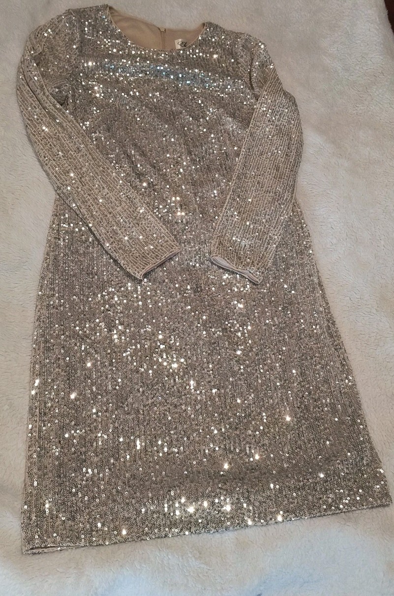 Eliza J Women’s Size 8 Silver Sequin Mini Dress Long Sleeve Sparkly Event