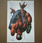 Marvel The Amazing Spider-Man #30 Exclusive Variant Cover by Johnny Desjardins
