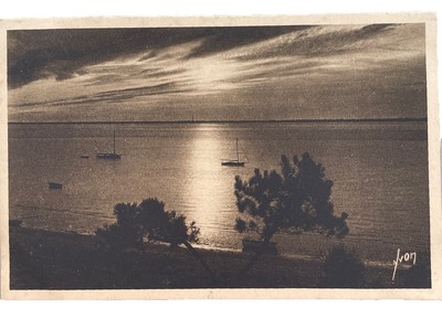 CPSM Le Bassin Au Crépuscule ￼