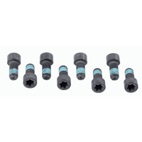 Sachs 1874 000 032 Schraubensatz, Schwungrad