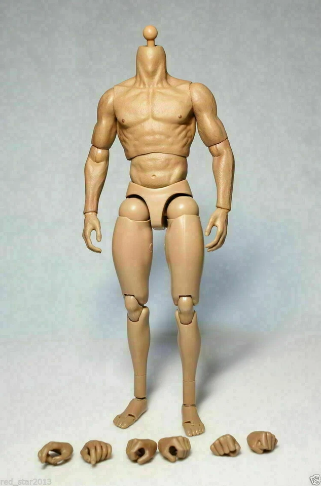ZC Toys 12" Muscular Male Action Figure Body Fit 1/6 Scale Hot Toys Head Sculpt - Image 3 of 4