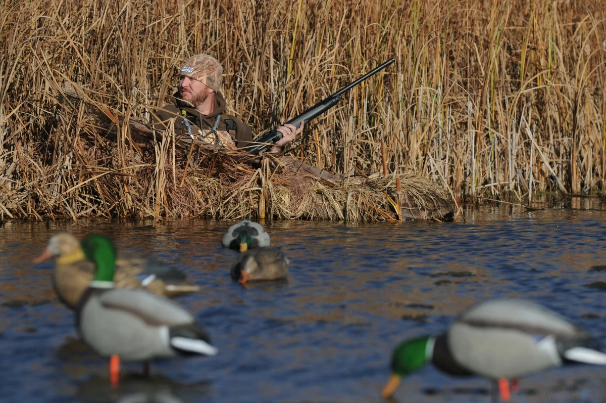 Avery Greenhead Gear Killer Weed Duck Goose Blind Kit Cattail Slough  Killerweed