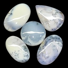 5 Pcs Natural Dendrite Agate 33-43mm Huge Untreated Loose Cabochon Gemstones Lot