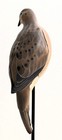 Life Size BRAD FALKINBURG VERTICAL MOURNING DOVE CARVING Wood Bird Sculpture  — photo 5