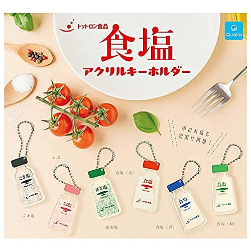 Tottron Foods Salt Acrylic Key Chain Set of 6 Types Full Comp Gacha Gacha