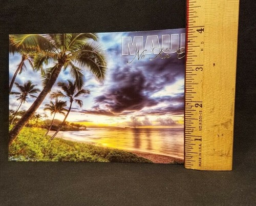 MAUI No Ka Oi HAWAII MALUAKA BEACH THE BEST RANDY JAY BRAWN POSTCARD - Picture 4 of 5