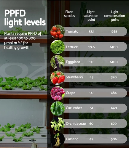 Phlizon 600W LED Grow Light Full Spectrum Veg Bloom Lamp for Indoor Hydroponics - Picture 9 of 12