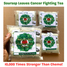 Soursop Leaves Herbal Tea Annona Muricata Guanabana Graviola Powder 30 Tea Bags