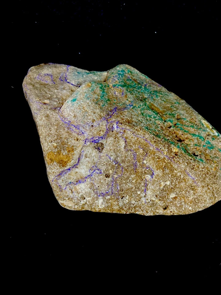 Artefacto de piedra efigie paleolítica, petroglifos de tortugas, aves y mamuts Foto 3 de 4