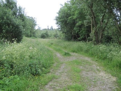 Foto A2 Hinunter in Royalty Slack Ampleforth Fußweg und Waldweg c2012