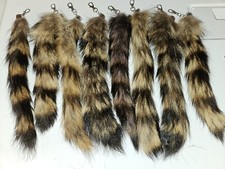 Raccoon Tail On Key Ring & Chain Real Raccoon Fur 11.5 " Long NATURAL COLOR