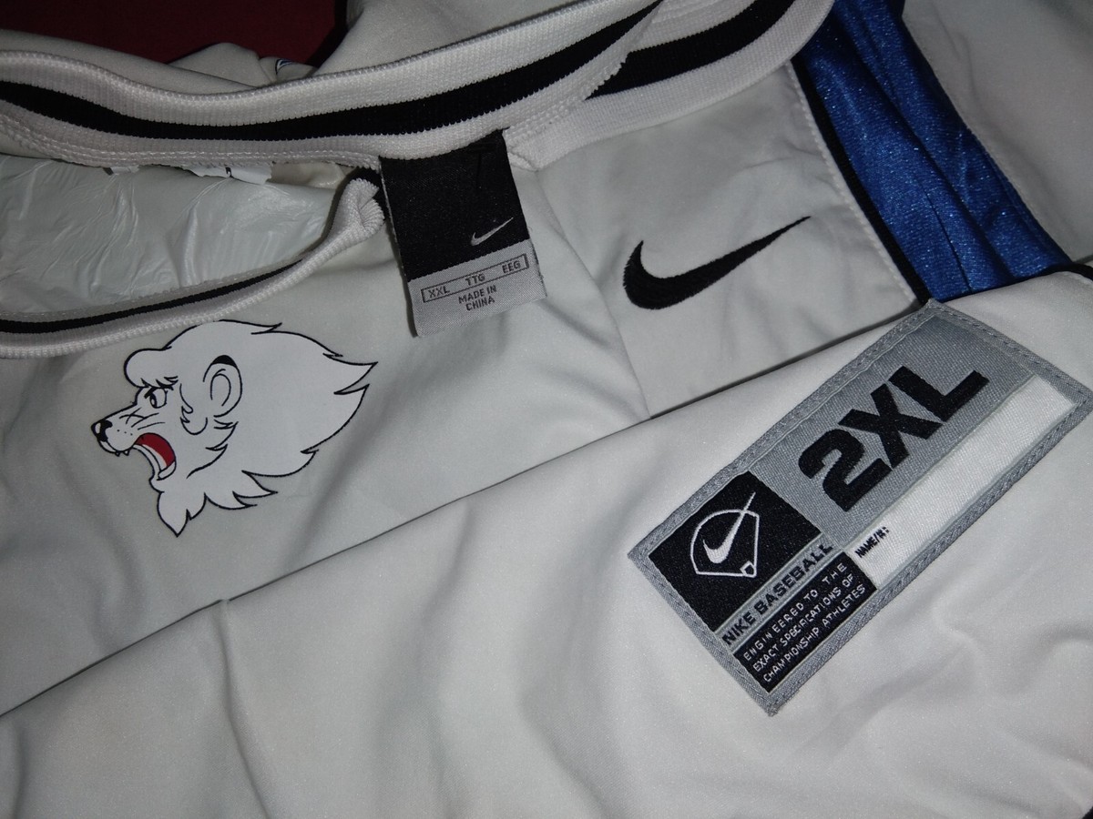 ⚾ Japan Baseball NPB Saitama Seibu Lions x Nike training
