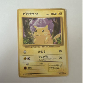 Pikachu No Rarity | eBay