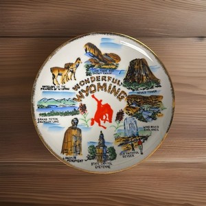 VINTAGE COLORFUL WONDERFUL WYOMING SOUVENIR PLATE WITH COWBOY LANDMARKS