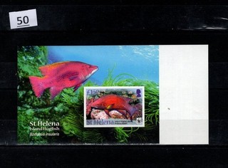 / ST. HELENA MNH PROOF WWF FISH
