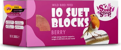 Wild Bird Food Berry Flavoured Suet Blocks Feed 10 300 g (Pack of 10)
