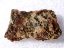 .519 grams 14x8x2mm Erg Chech 002 Meteorite ( Achondrite-ung ) slice with a COA