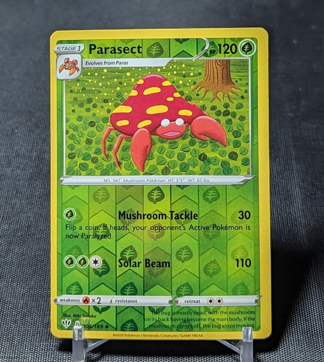 Parasect Uncommon Reverse Holo Grass Pokemon TCG Darkness Ablaze Card 004/189