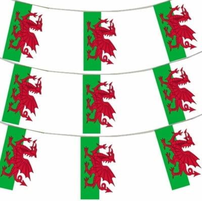 12 FT Welsh Flag Rectangular Bunting Wales Six Nations Rugby Decoration ...