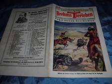 ...Schilderungen aus Brehms