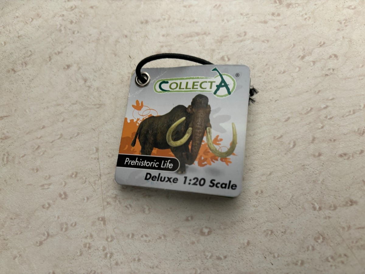 CollectA Réplique d'animal réaliste Dunkleosteus avec figurine de luxe
