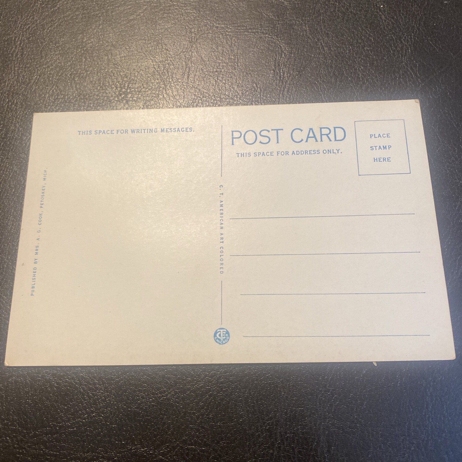 Petoskey & Charlevoix, Michigan Pere Marquette flyer Beach View Vintage