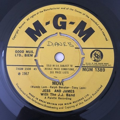 Jess And James - Move / What Was I Born For, 7'', (Vinyl)