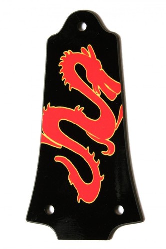 Custom Personalized Truss Rod Cover w/ picture/logo for Older Epiphone® Les Paul - Picture 3 of 4