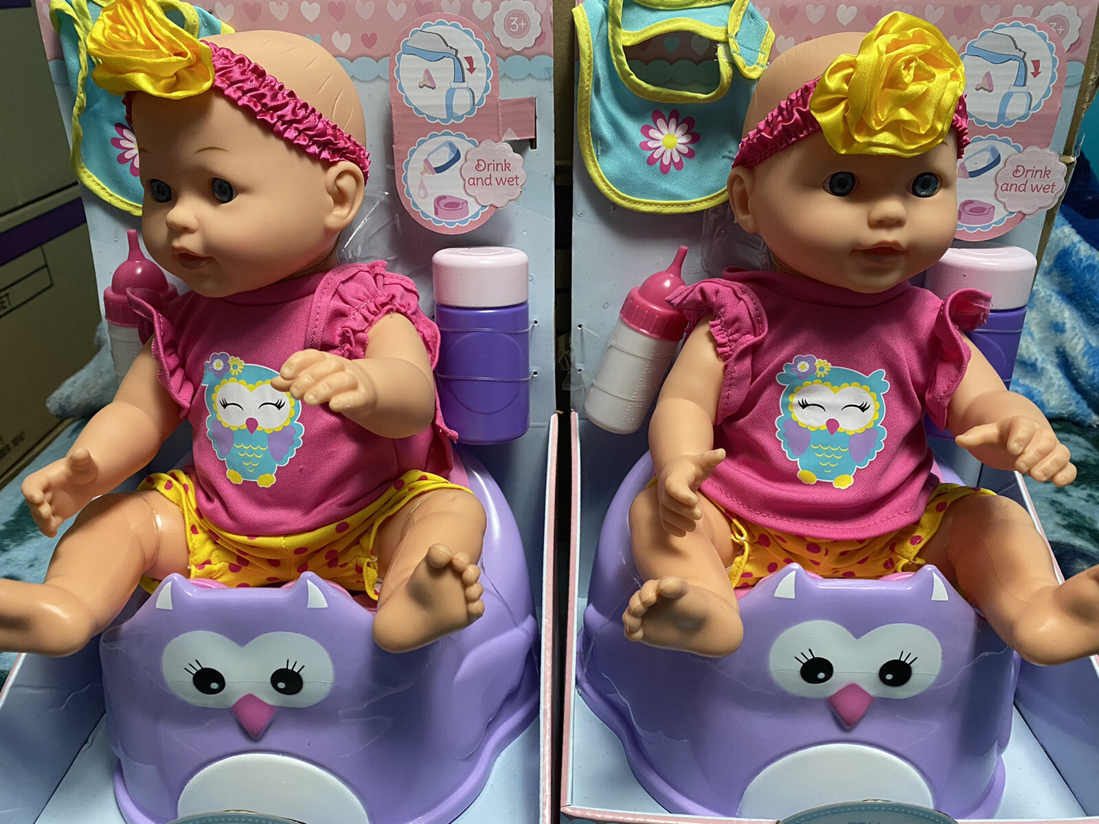 Potty Seat ((((not Ship To Puerto Rico