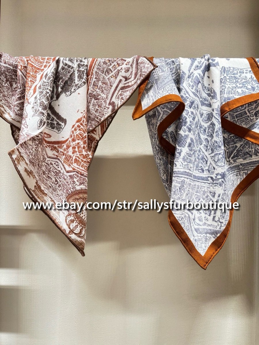 Sallys 70% Cashmere & 30% Silk Scarf City Horse Print 2 Face  display picture 3