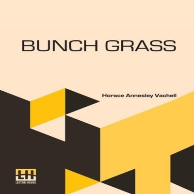 Bunch Grass Eine Chronik des Lebens auf einer Rinderfarm Horace Annesley