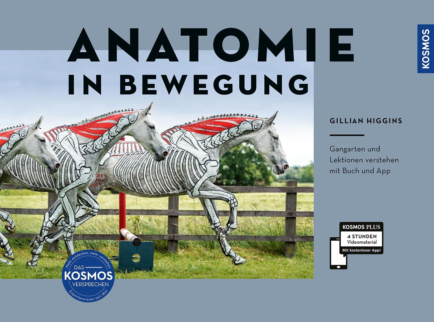 Anatomie in Bewegung Gillian Higgins
