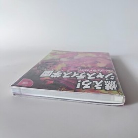 DC Moero Justice Gakuen & Guidebook Set Complete Spine Reg Card SEGA Dreamcast