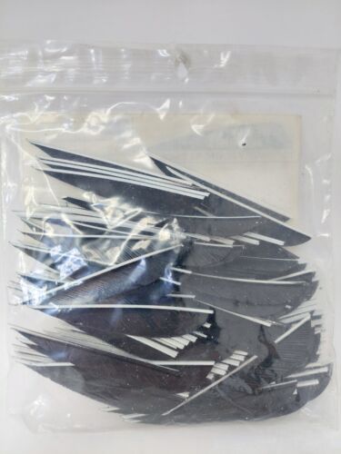100 Pack Gateway Feathers 3" Left Wing: Parabolic Jet Black 300LPSBK-100 - Picture 3 of 3